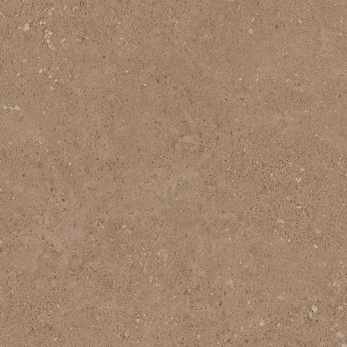 Плитка из керамогранита NP03 40,5x40,5x8 Непол. (Керамический гранит) (43,296 м2)