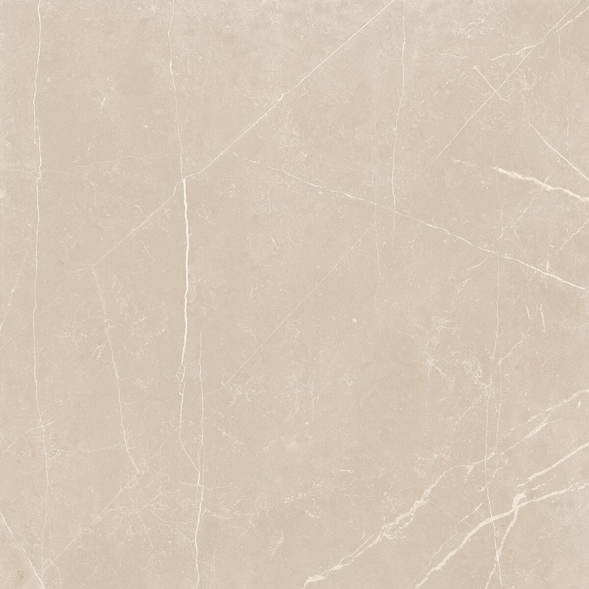 Плитка из керамогранита NL01 60x60x10 Полир. (Керамический гранит)