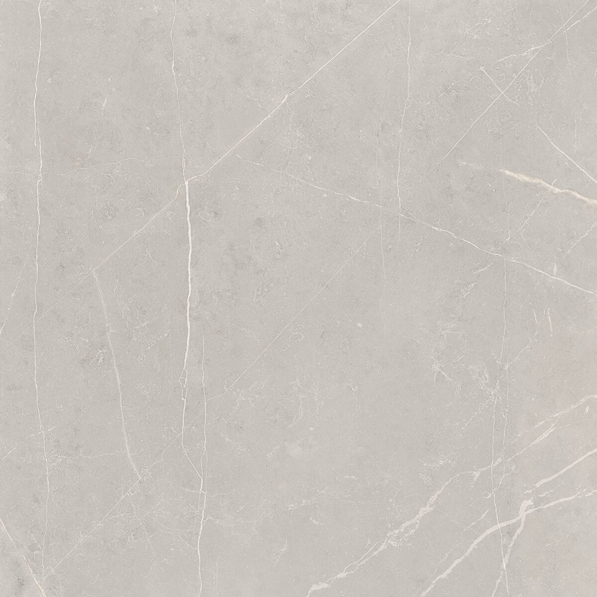 Плитка из керамогранита NL02 60x60x10 Полир. (Керамический гранит)
