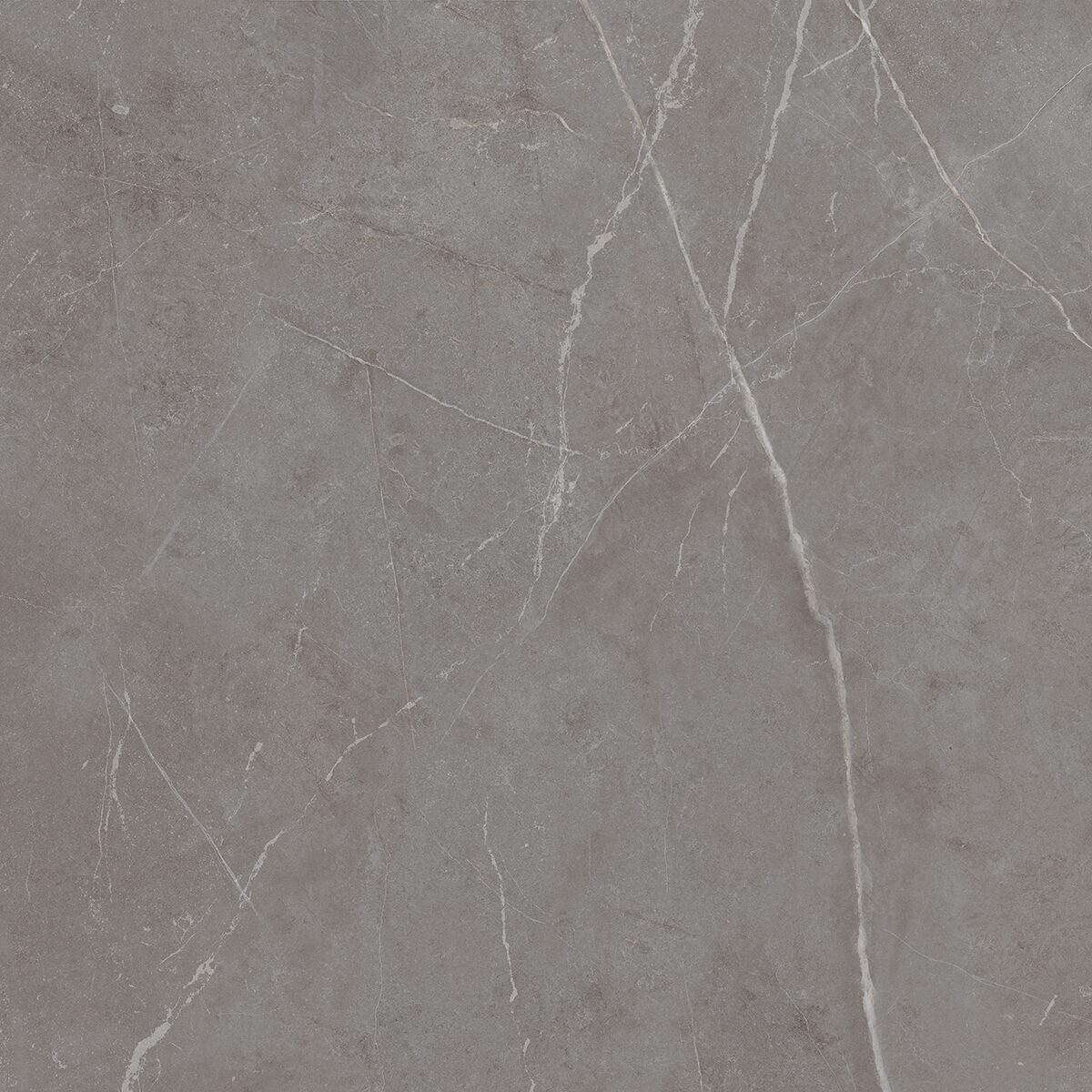 Плитка из керамогранита NL03 60x60x10 Непол.Рект. (Керамический гранит)