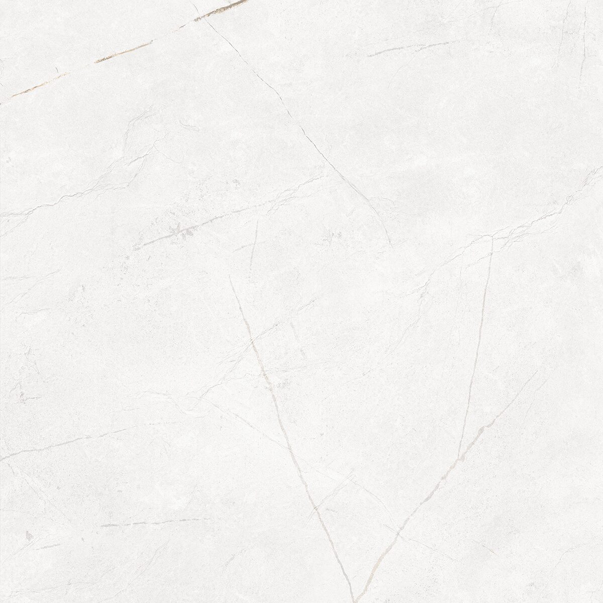 Плитка из керамогранита NL00 60x60x10 Полир. (Керамический гранит)