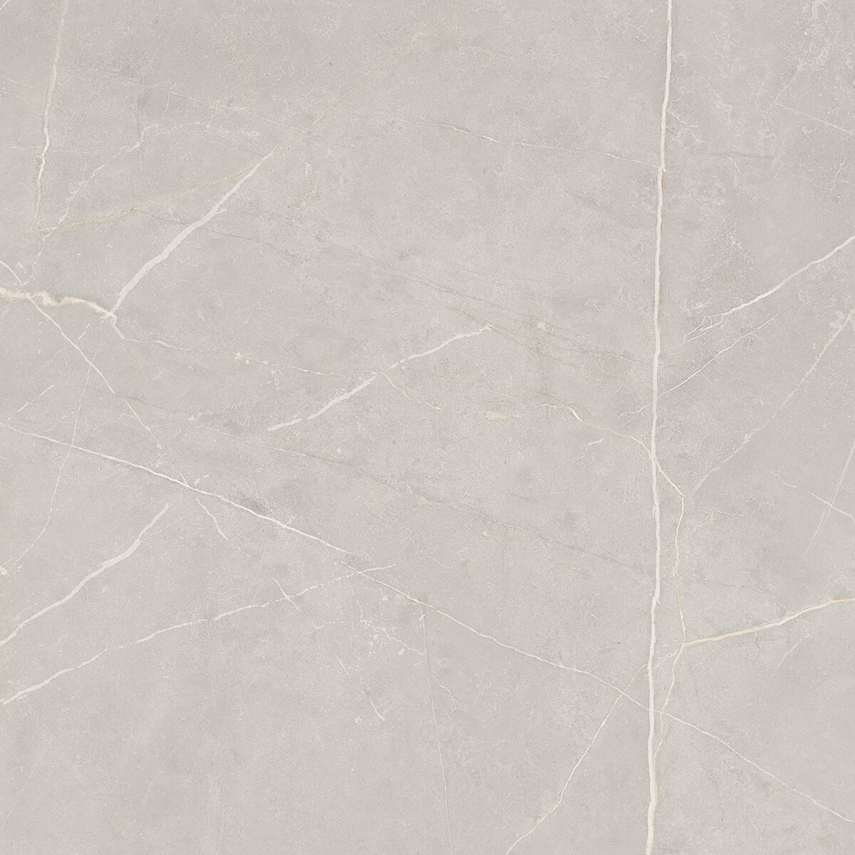 Плитка из керамогранита NL02 60x60x10 Полир. (Керамический гранит)
