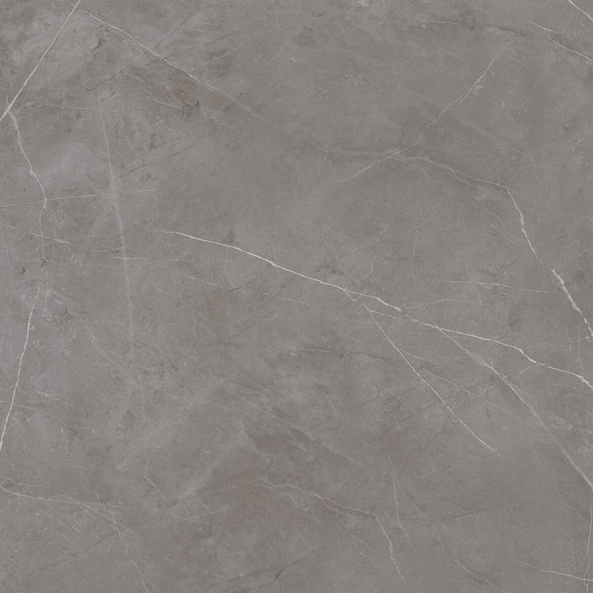 Плитка из керамогранита NL03 60x60x10 Непол.Рект. (Керамический гранит)