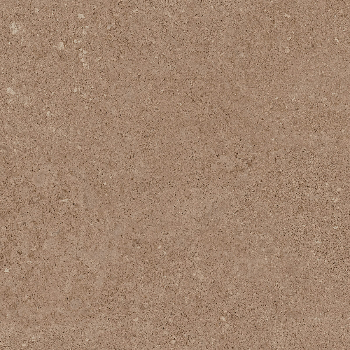 Плитка из керамогранита NP03 40,5x40,5x8 Непол. (Керамический гранит) (43,296 м2)