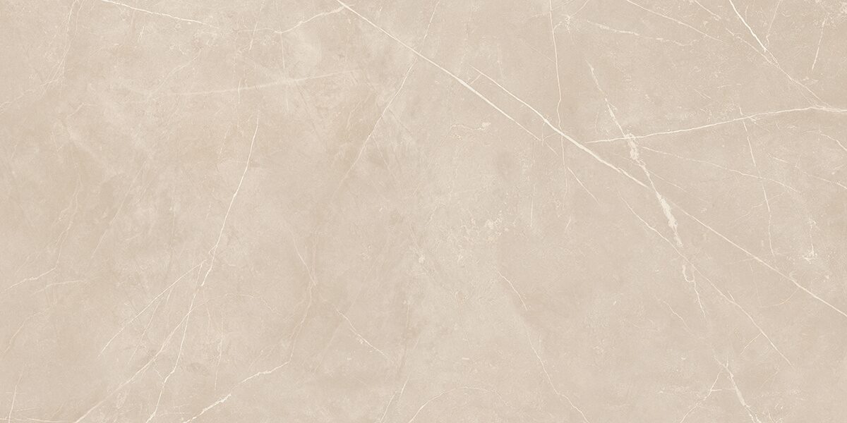 Плитка из керамогранита NL01 60x120x10 Непол.Рект. (Керамический гранит)