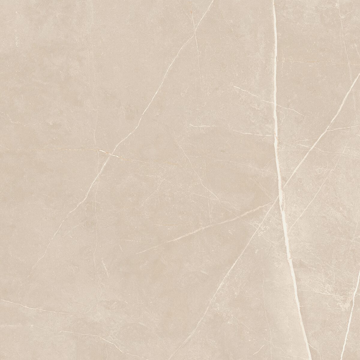 Плитка из керамогранита NL01 60x60x10 Полир. (Керамический гранит)