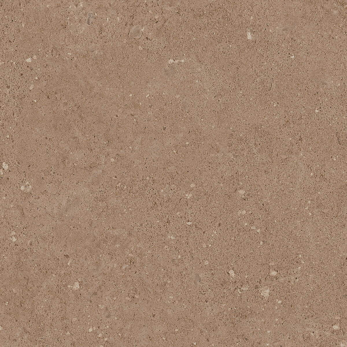 Плитка из керамогранита NP03 40,5x40,5x8 Непол. (Керамический гранит) (43,296 м2)