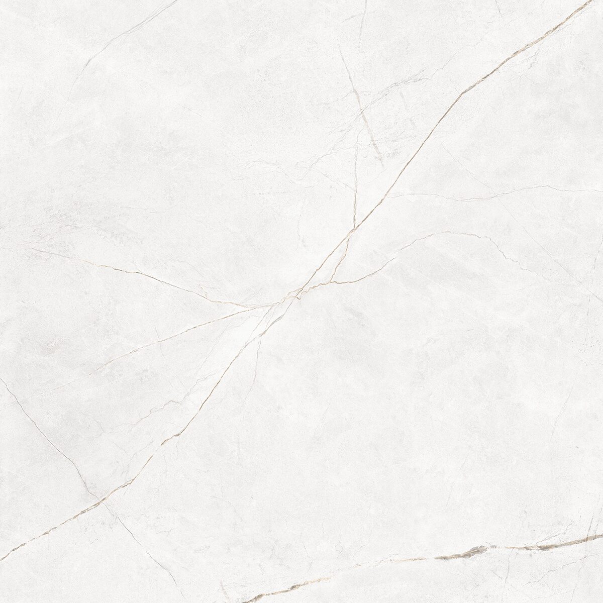 Плитка из керамогранита NL00 60x60x10 Полир. (Керамический гранит)
