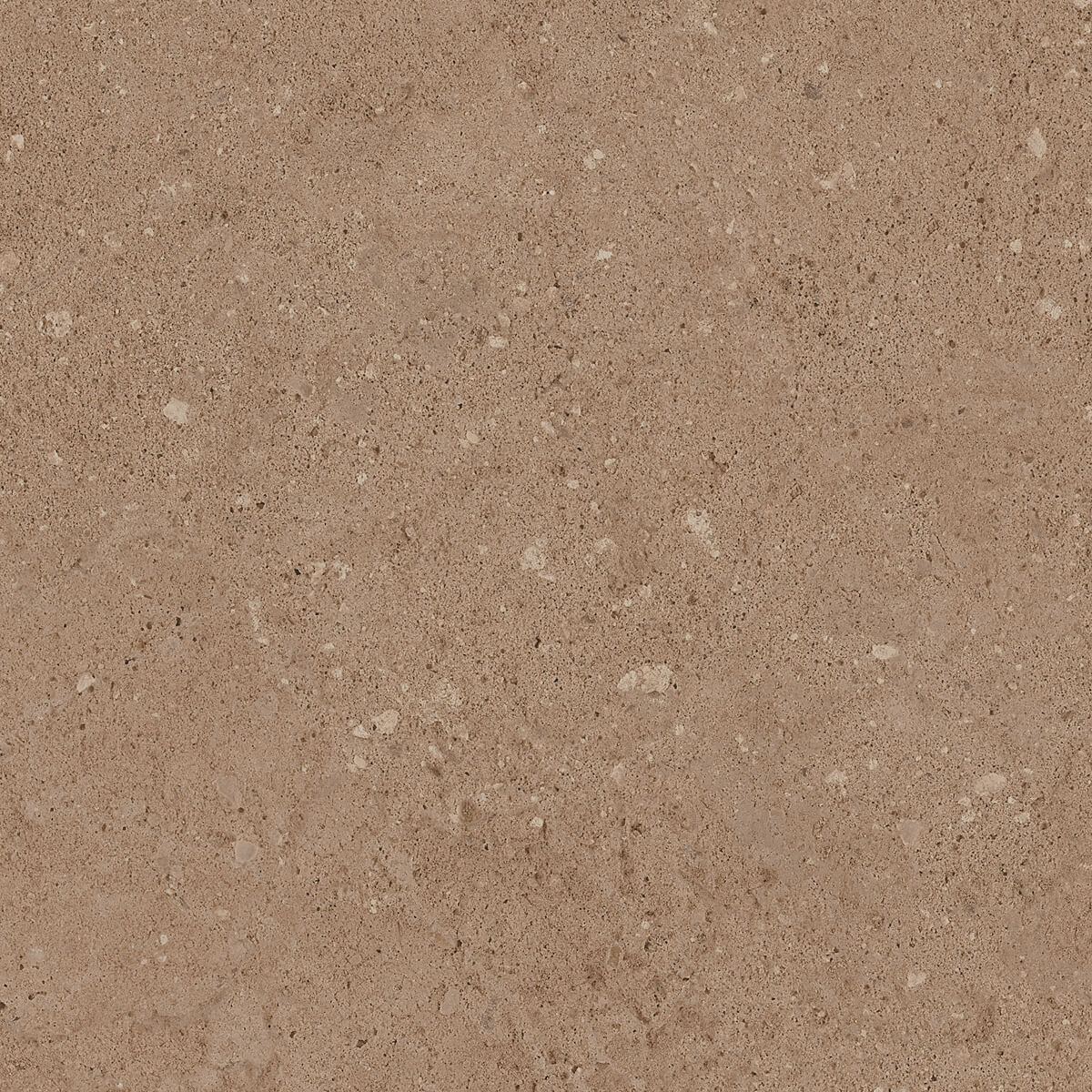 Плитка из керамогранита NP03 40,5x40,5x8 Непол. (Керамический гранит) (43,296 м2)