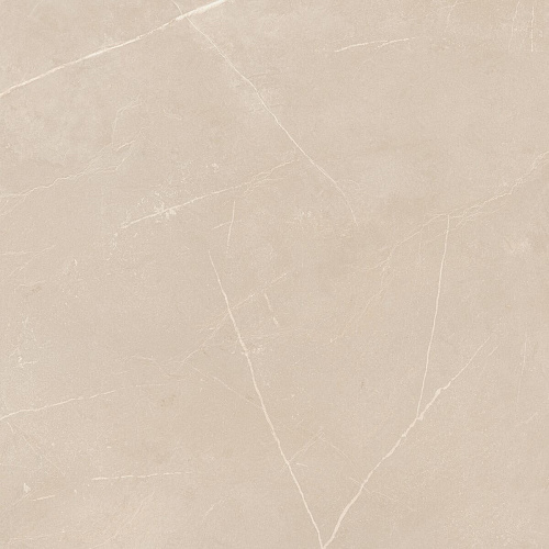 Плитка из керамогранита NL01 60x60x10 Полир. (Керамический гранит)