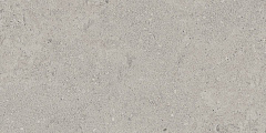 Плитка из керамогранита NP01 30,6x60,9x8 Непол. (Керамический гранит)