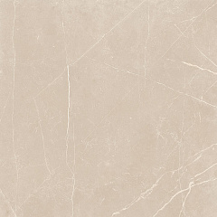 Плитка из керамогранита NL01 60x60x10 Полир. (Керамический гранит)