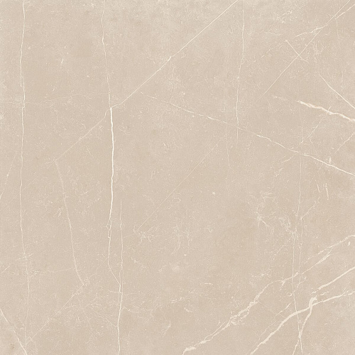 Плитка из керамогранита NL01 60x60x10 Полир. (Керамический гранит)