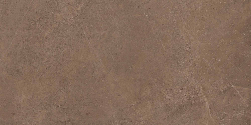 Плитка из керамогранита GO02 60x120x10 Непол.Рект. (Керамический гранит)
