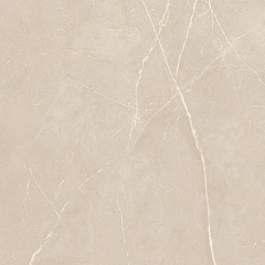Плитка из керамогранита NL01 60x60x10 Полир. (Керамический гранит)