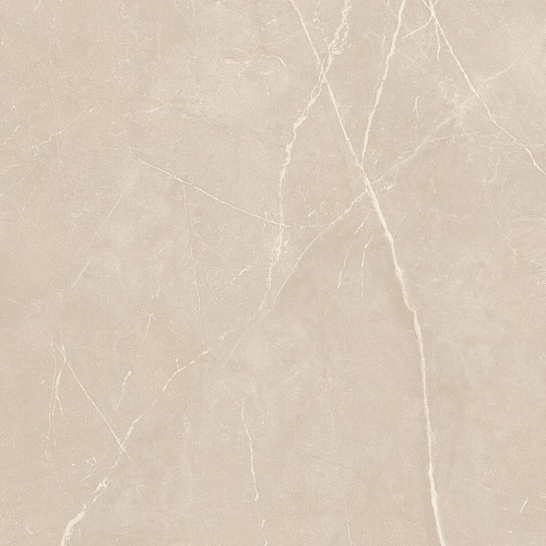 Плитка из керамогранита NL01 60x60x10 Полир. (Керамический гранит)