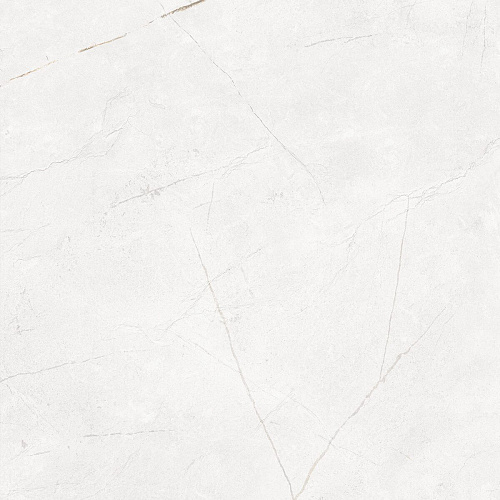 Плитка из керамогранита NL00 60x60x10 Полир. (Керамический гранит)