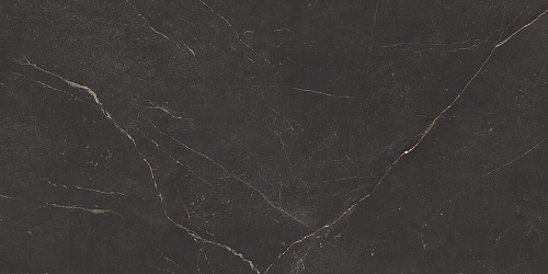 Плитка из керамогранита NL04 60x120x10 Непол.Рект. (Керамический гранит)