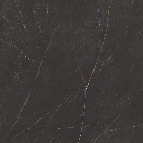 Плитка из керамогранита NL04 60x60x10 Непол.Рект. (Керамический гранит)