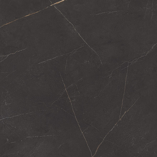 Плитка из керамогранита NL04 60x60x10 Непол.Рект. (Керамический гранит)