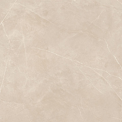 Плитка из керамогранита NL01 60x60x10 Полир. (Керамический гранит)