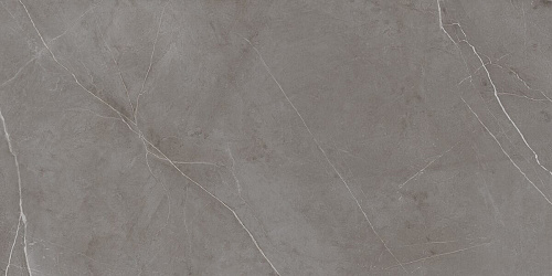 Плитка из керамогранита NL03 60x120x10 Непол.Рект. (Керамический гранит)