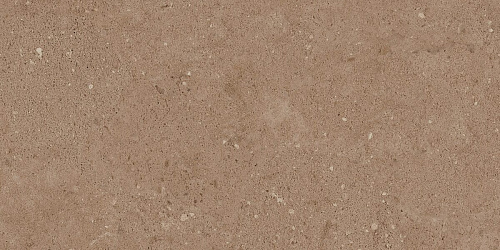 Плитка из керамогранита NP03 30,6x60,9x8 Непол. (Керамический гранит)