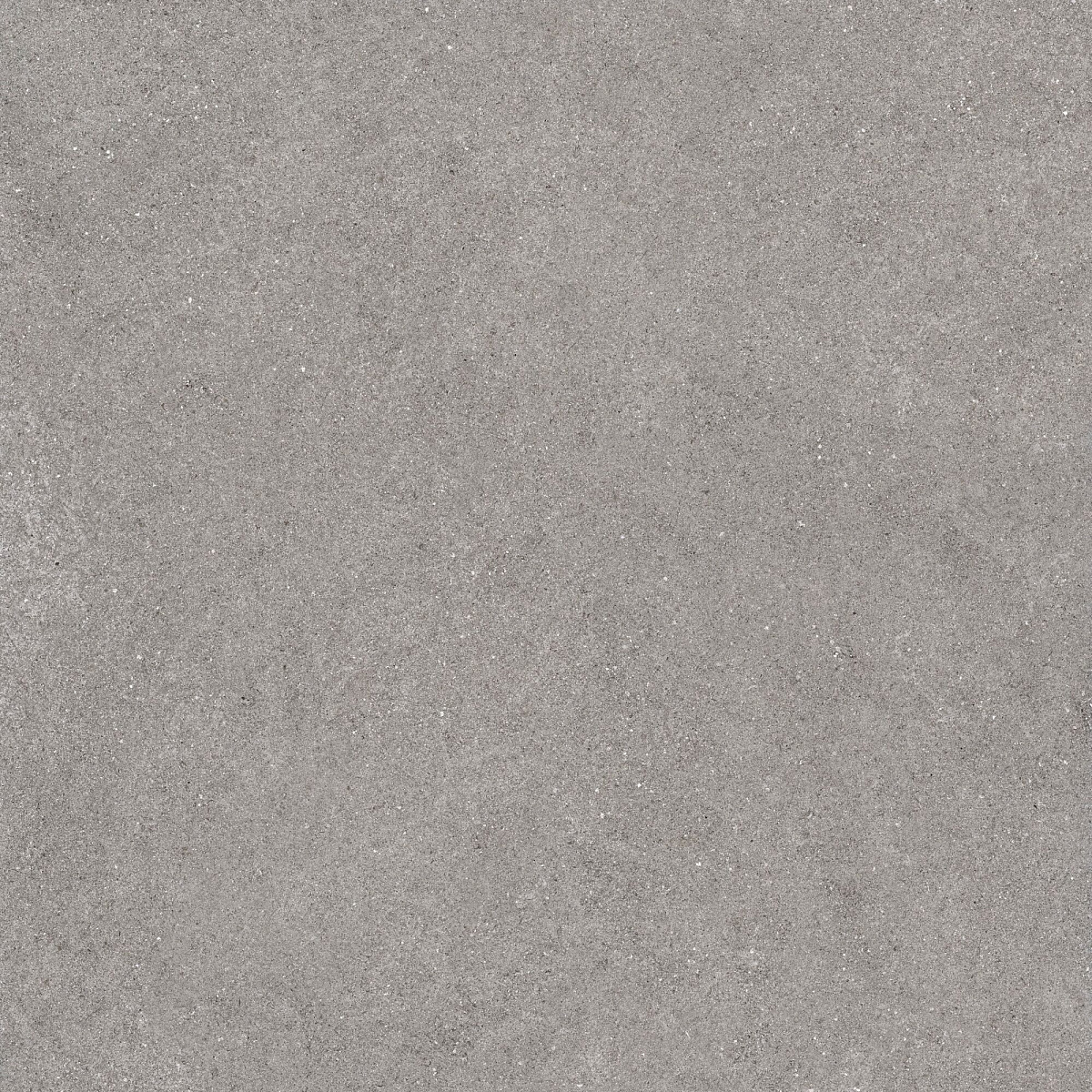 Плитка из керамогранита LN02 60x60x10 Непол.Рект. (Керамический гранит)