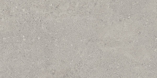 Плитка из керамогранита NP01 30,6x60,9x8 Непол. (Керамический гранит)