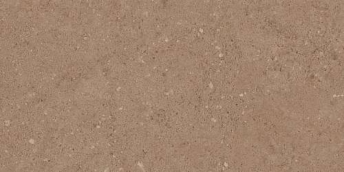 Плитка из керамогранита NP03 30,6x60,9x8 Непол. (Керамический гранит)