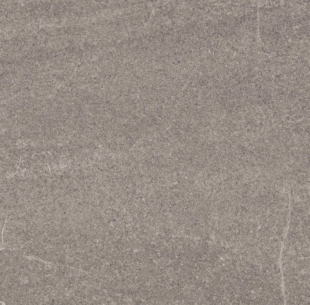 Плитка из керамогранита SOG202 60x60x20 Противоскольз.Рект. (Керамический гранит)