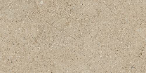 Плитка из керамогранита NP02 30,6x60,9x8 Непол. (Керамический гранит)