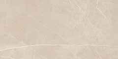 Плитка из керамогранита NL01 60x120x10 Непол.Рект. (Керамический гранит)
