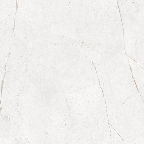 Плитка из керамогранита NL00 60x60x10 Полир. (Керамический гранит)