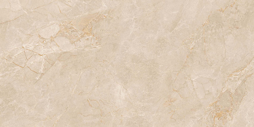 Плитка из керамогранита EXM301 60x120x9 Непол.Рект. (Керамический гранит)
