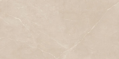 Плитка из керамогранита NL01 60x120x10 Непол.Рект. (Керамический гранит)
