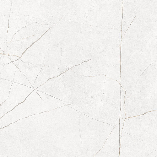 Плитка из керамогранита NL00 60x60x10 Полир. (Керамический гранит)