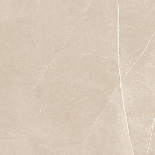Плитка из керамогранита NL01 60x60x10 Полир. (Керамический гранит)