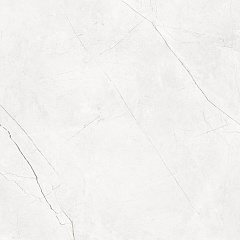 Плитка из керамогранита NL00 60x60x10 Полир. (Керамический гранит)