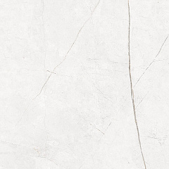 Плитка из керамогранита NL00 60x60x10 Полир. (Керамический гранит)