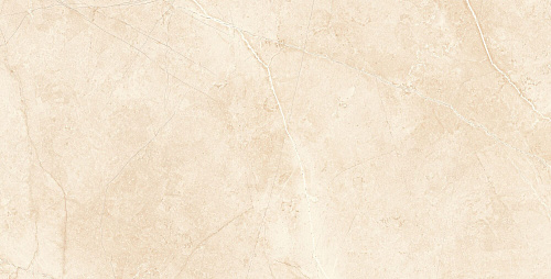 Плитка из керамогранита MA02 60x120х10 Непол.Рект. (Керамический гранит)
