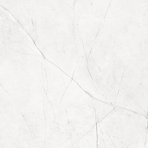 Плитка из керамогранита NL00 60x60x10 Полир. (Керамический гранит)