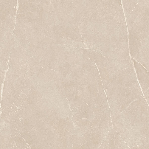 Плитка из керамогранита NL01 60x60x10 Полир. (Керамический гранит)