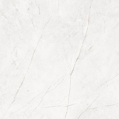 Плитка из керамогранита NL00 60x60x10 Полир. (Керамический гранит)
