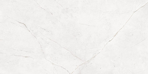 Плитка из керамогранита NL00 60x120x10 Непол.Рект. (Керамический гранит)