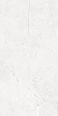 Плитка из керамогранита NL00 60x120x10 Полир. (Керамический гранит)