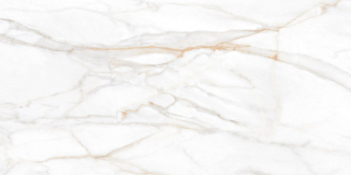 Плитка из керамогранита SM02 60x120x10 Полир. (Керамический гранит)