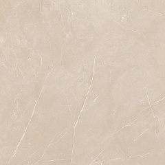 Плитка из керамогранита NL01 60x60x10 Полир. (Керамический гранит)
