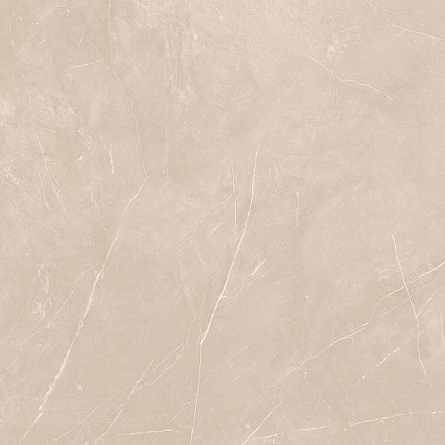 Плитка из керамогранита NL01 60x60x10 Полир. (Керамический гранит)