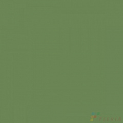 Керамогранит матовый профи 600x600x10 зеленый чай - GT079M